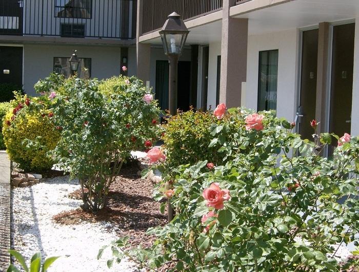Shelbyville Inn - Shelbyville, Tn 37160 Exterior foto